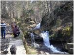 (26/117): Niedaleko poczenia z potokiem Roztocznym Biaa Wiseka tworzy cig wodospadw nazwany kaskadami Roda.<br>2008-04-26