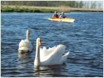 (21/109): Rzeka Biebrza - dopywamy do Starego Dolistowa.<br>2012-05-01