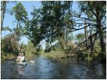 (81/109): Rzeka Wda - wpywamy na tereny w okolicy Starej Rzeki, przez ktre dziesi dni wczeniej przesza trba powietrzna.<br>2012-07-27
