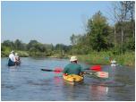 (101/109): Rzeka Liwiec - Liwiec leniwiec.<br>2012-08-15