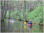 (32/66): Rzeka Konecznica - na kanale za Budami.<br>2013-06-01
