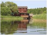 (48/66): Rzeka Netta - myn w Biaobrzegach u poczenia Sajownicy z Nett.<br>2013-07-09