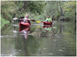 (66/66): Rzeka Skrwa w jesiennej scenerii.<br>2013-10-06