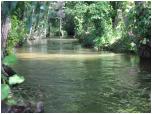 (60/66): Rzeka Biaa Hacza - Biaa Hacza (lit. Baltoji Ania) za jeziorem Ania.<br>2013-08-15