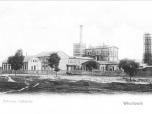 (35/48): Fabryka Celulozy Wocawek<br>fot. B. Sztejner, przed 1902 r.<br>Widok fabryki celulozy Braci Cassier (za. 1899 r.) Fotografia wykonana na ulicy Pockiej